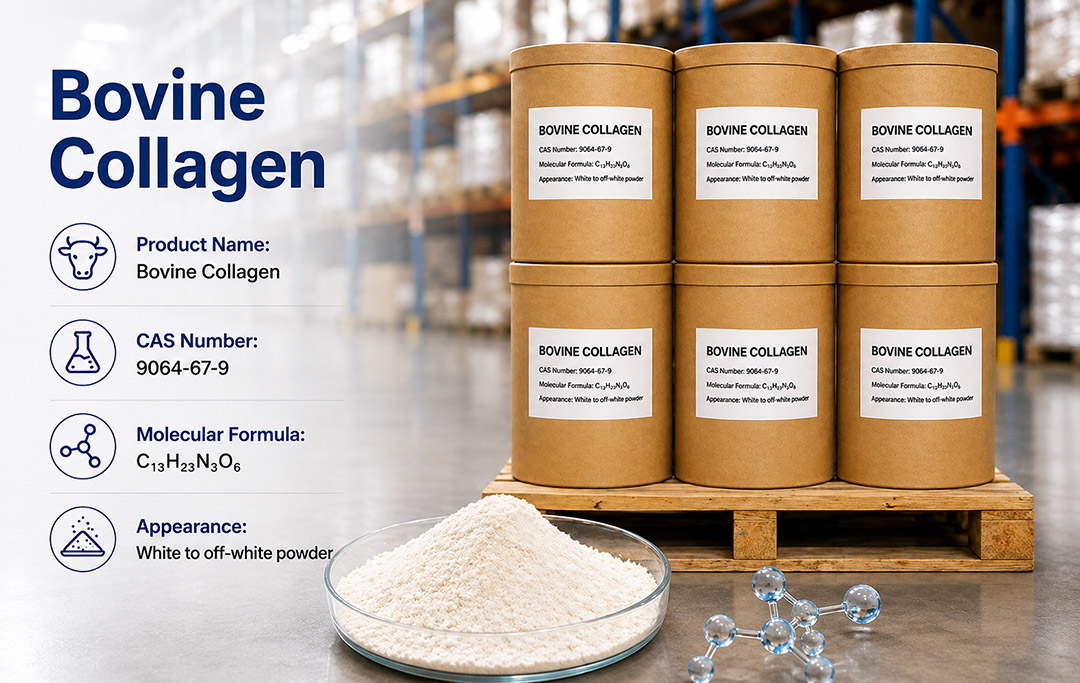Bovine Bone Collagen Peptides.jpg
