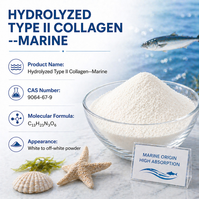Hydrolyzed Type II Collagen Marine