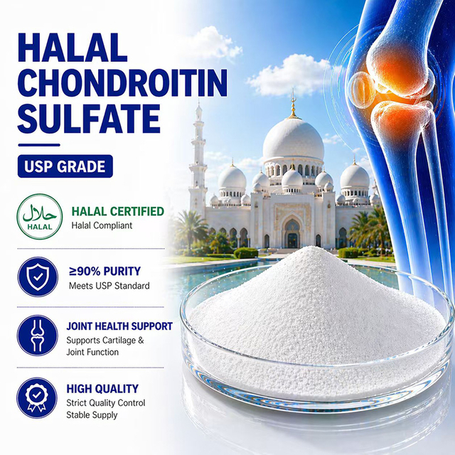 Chondroitin Sulfate Halal