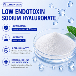 Low Endotoxin Sodium Hyaluronate Supplier