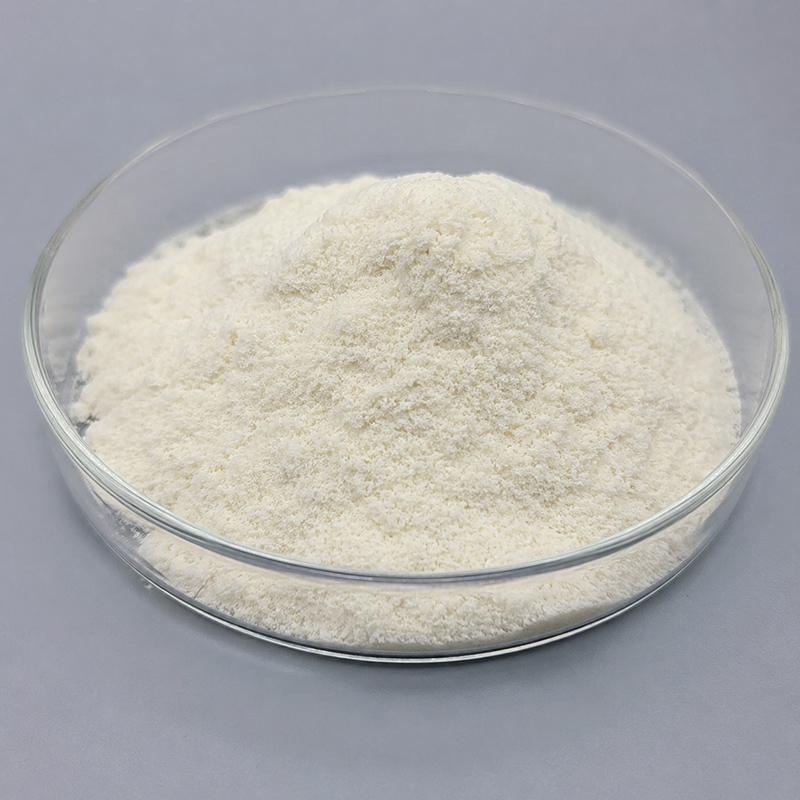 shark chondroitin sulfae