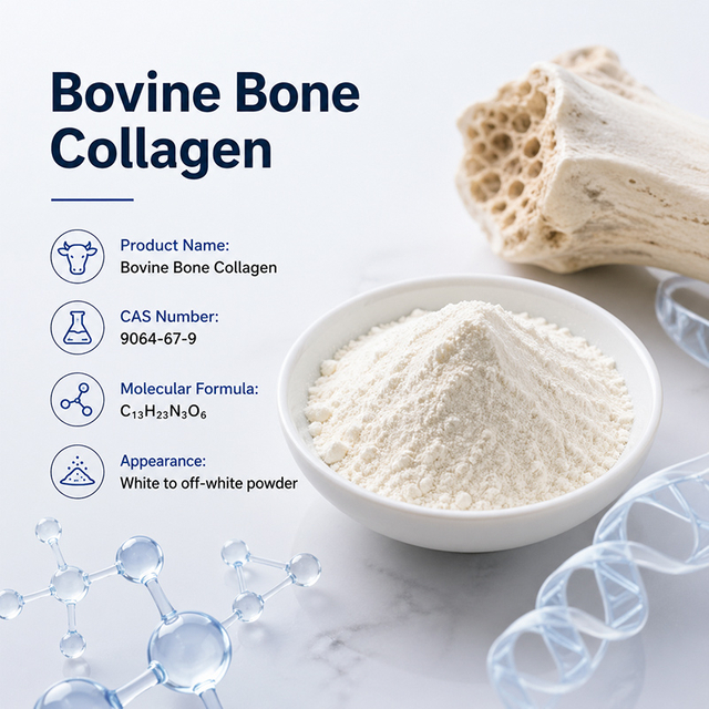 Bovine Bone Collagen
