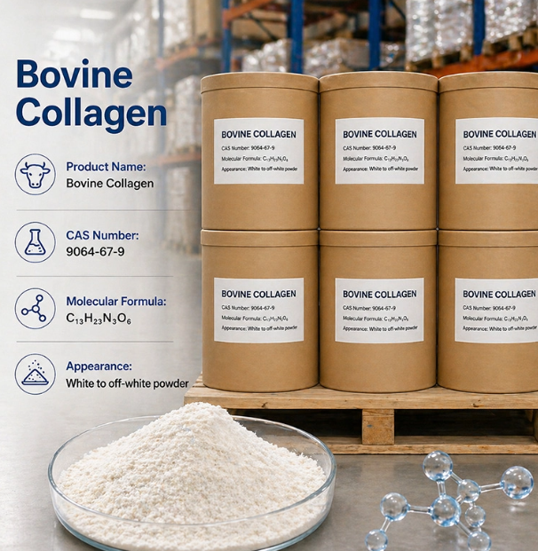 Bovine Bone Collagen Peptides
