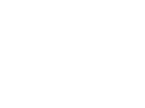 logo-100-b