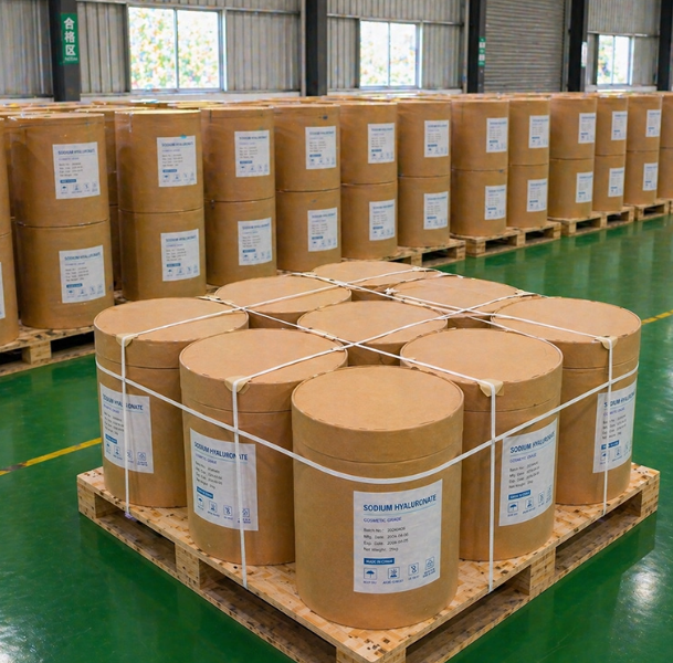 Food Grade Sodium Hyaluronate for Dietary Supplements